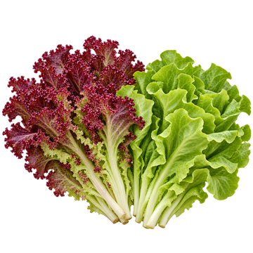 Салат